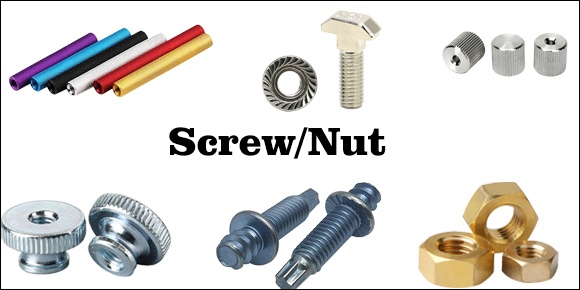 Screw/nut